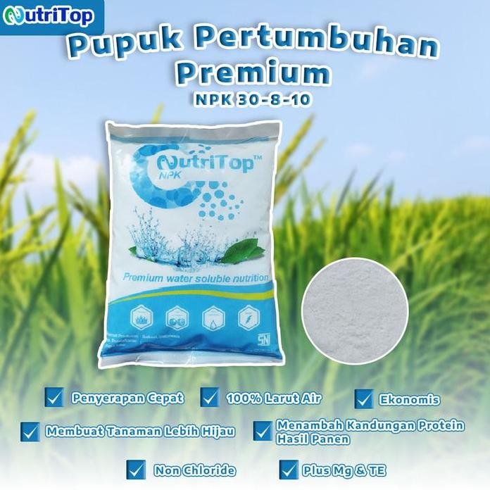 

Terlaris Pupuk Pertumbuhan Premium Npk 30-8-10 + Mg Te Nutritop 1 Kg