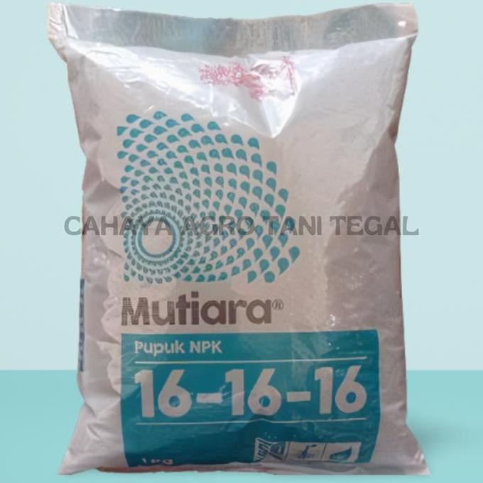 

Terlaris Pupuk Npk Mutiara 16 16 16 Kemasan Repack 1Kg