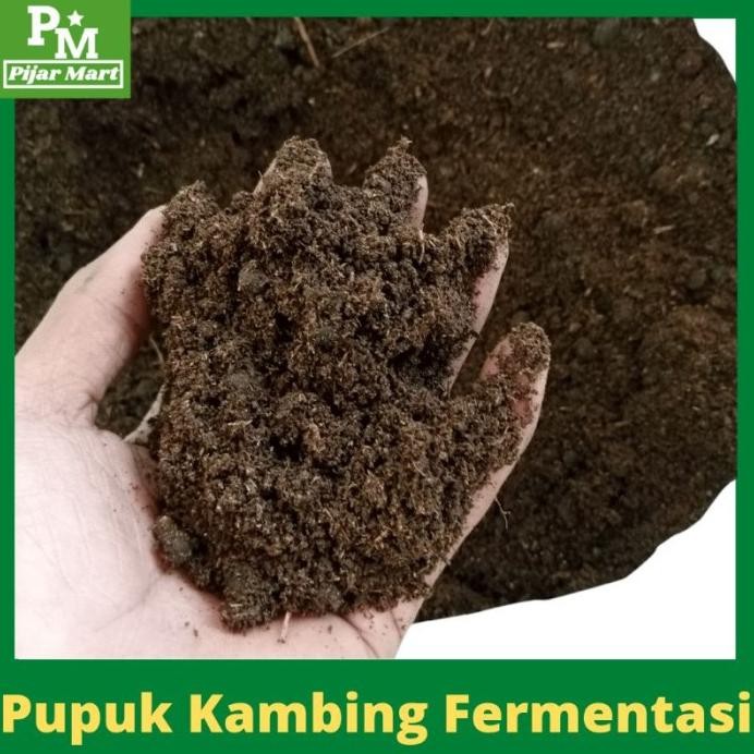

Terlaris Pupuk Kandang Bubuk Premium Kohe Kambing Fermentasi 5 Kg Zlggfn 5064Gz