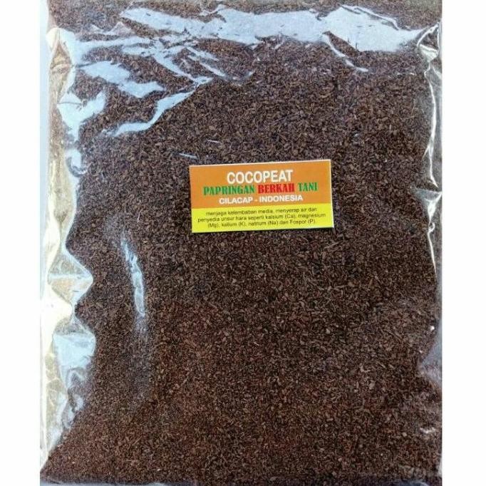 

Terlaris Paket Bahan Media Tanam: Pupuk Kandang 500Gr Sekam Bakar Nyaiog 2806Uq