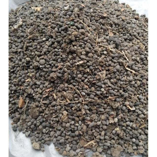 

Terlaris Grosir Pupuk Kandang Kambing Kasar (Geek Farmer) Keren