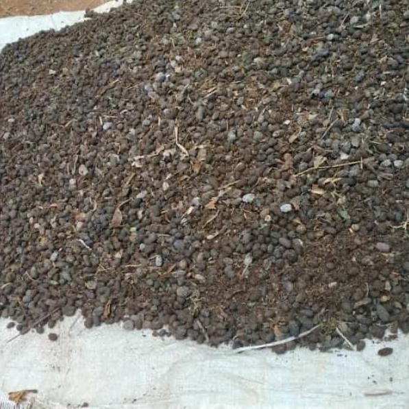 

Terlaris Pupuk Kandang Kotoran Kambing Murni