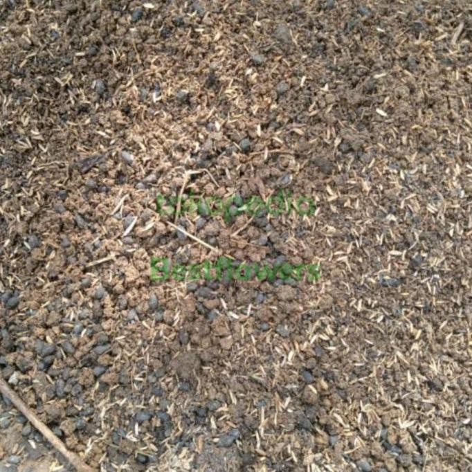 

Terlaris Media Tanam Sekam + Tanah + Pupuk Kandang 1Kg Sudah Steril