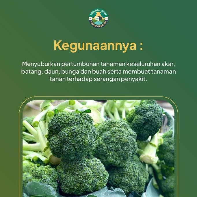 

Terlaris Pupuk Brokoli Cepat Besar Pupuk Organik Cair Brokoli Npk Plus Nurratonix Pupuk Khusus Tanaman Brokoli Pupuk Penyubur Brokoli Pupuk Cepat Berbuah Lebat