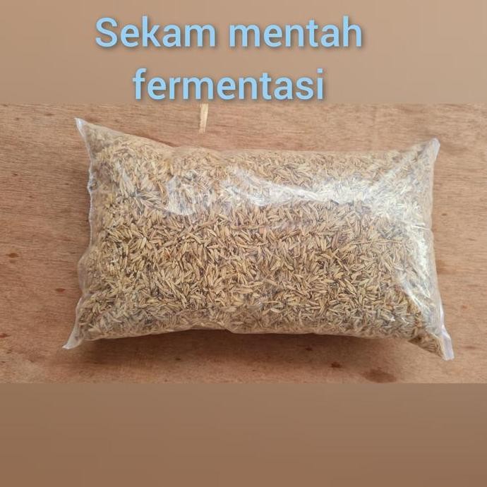 

Terlaris Media Tanam Sekam Padi 1Kg Sudah Di Fermentasi Siap Pakai