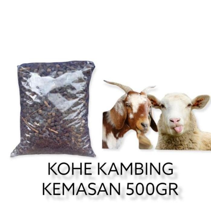 

Terlaris Pupuk Kandang Kohe Kambing Kemasan 500Gr