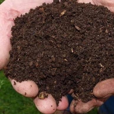 

Terlaris Pupuk Kandang Ayam Murni Per Kg