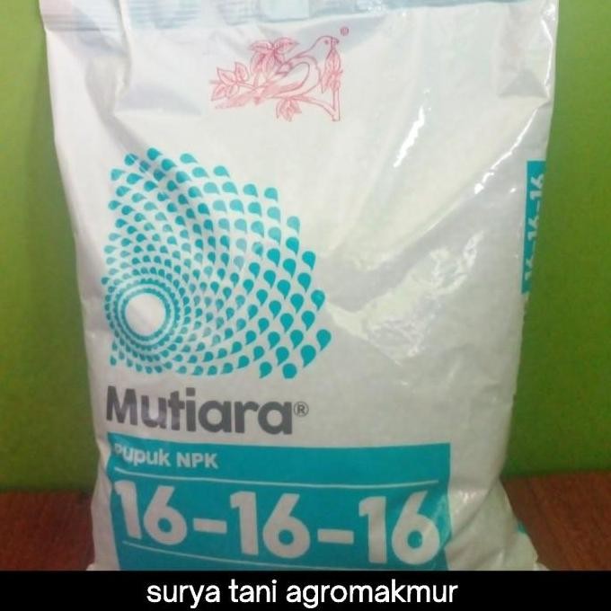 

Terlaris Pupuk Meroke Npk Mutiara 16 16 16 Biru 1 Kg