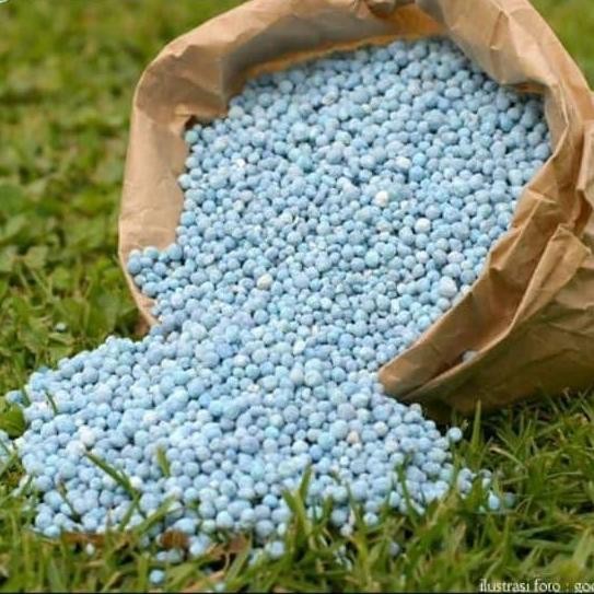 

Terlaris Promo!! Pupuk Npk Mutiara Penyubur Tanaman Semua Jenis Tanaman - Pupuk