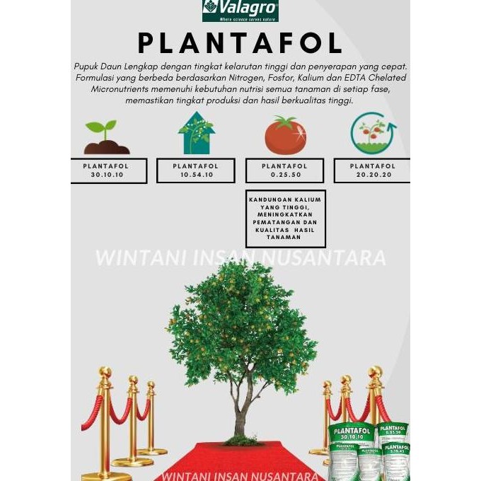 

Terlaris Pupuk Padat Valagro Plantafol 0.25.50 (Npk) Isi 200 Gr