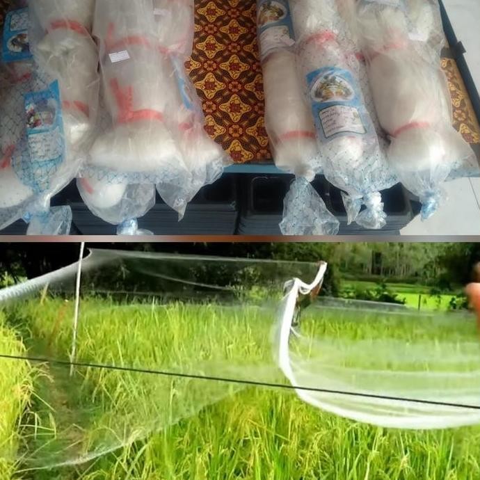 

Terlaris Jaring Burung,Jaring Sawah,Jaring Padi Ukurun 100 Md X 100 Yds