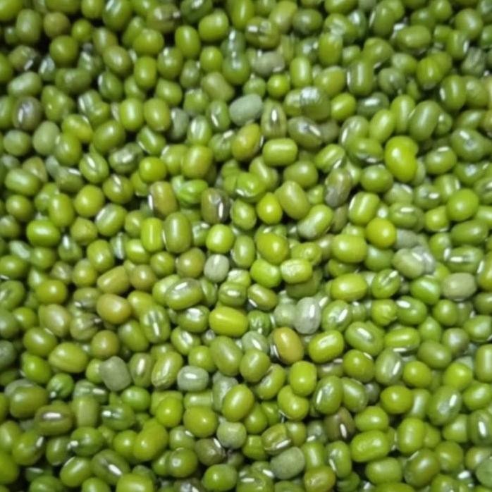 

Terlaris Kacang Hijau Berkualitas 500Gr