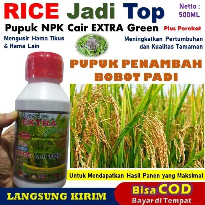 

Terlaris Pupuk Pelebat Dan Penambah Bobot Padi Yang Bagus 500Ml Rice Jadi Top Pupuk Npk Cair Plus Perekat Untuk Tanaman Padi Super Lebat Dan Dapat Mengusir Tikus Dan Hama Lain - Obat Semprot Padi Terbaik Untuk Mendapatkan Hasil Panen Yang Maksimal Petani