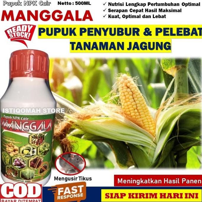

Terlaris Pupuk Tanaman Jagung Cepat Berbuah Super Lebat Manggala 500Ml Pupuk Npk Cair Untuk Mempercepat Pertumbuhan Tanaman Cepat Berbunga Dan Berbuah Besar Serta Memperkuat Daya Tahan Terhadap Penyakit Tanaman Jagung Terbaik