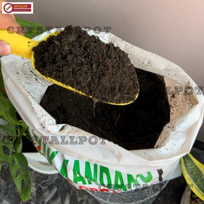 

Terlaris Terbaru Pupuk Kandang Kambing Organik Halus Dan Steril Mempercepat