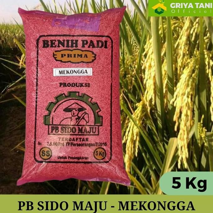

Terlaris Benih Padi Sido Maju Mekongga Prembun