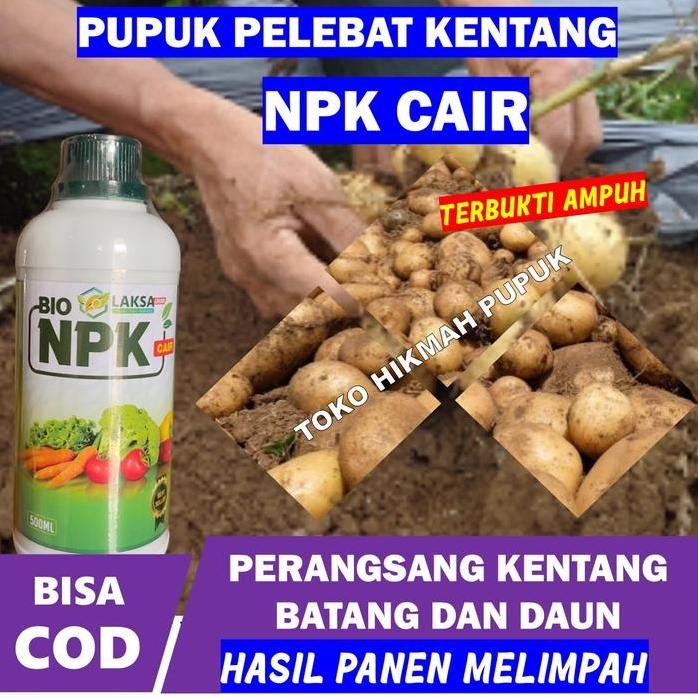 

Terlaris Laksa 500 Ml Pupuk Npk Pembesar Buah Kentang Merimbunkan Buah Kentang Obat Semprot Cair