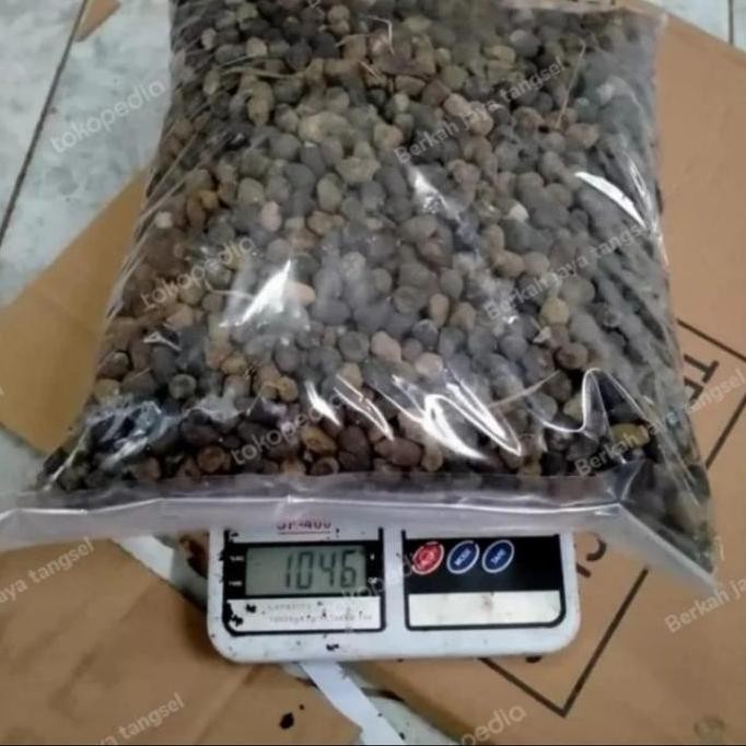 

Terlaris Pupuk Kandang