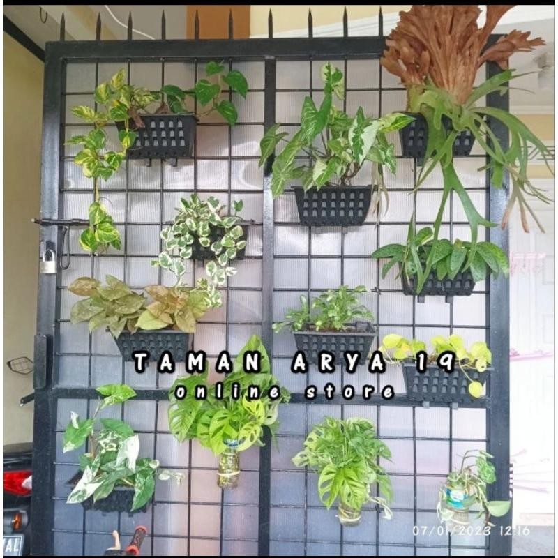 Pot Dinding Pot Tempel Vertical Garden