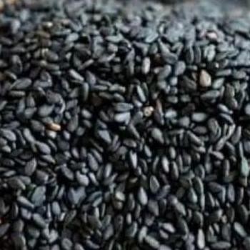 

Terlaris Wijen Hitam Sangrai / Black Sesame Seed Roasted 25Gram