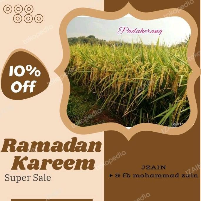 

Terlaris Benih Padi Unggul Padaherang 80 Hst