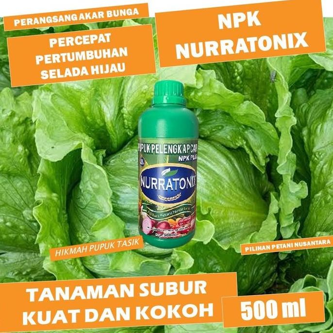 

Terlaris (Termurah) Pupuk Booster Buah Selada Hijau Paling Ampuh - Npk Nurratonix 500Ml 500Ml - Pupuk Organik Selada Berbuah Besar Dan Lebat