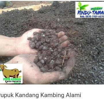 

Terlaris Pupuk Kandang/Kambing 2 Kg.