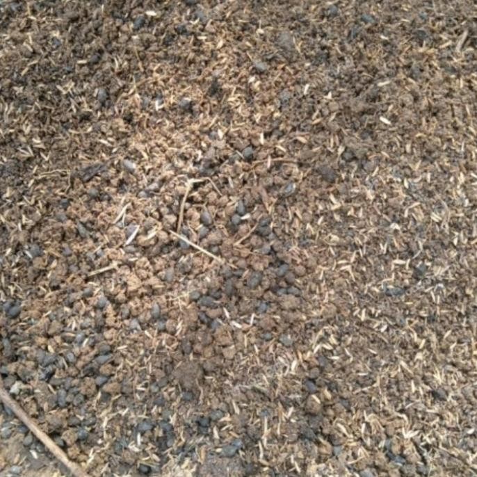 

Terlaris Media Tanam Sekam + Tanah + Pupuk Kandang , Per 1Kg