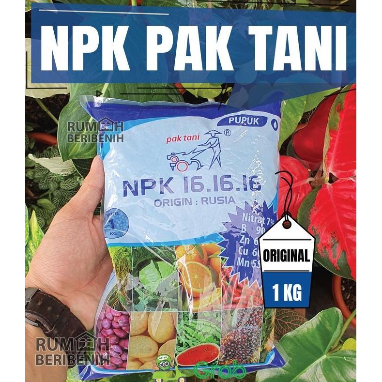 

Terlaris Pupuk Tanaman Hias Bunga Dan Buah Npk Mutiara 16 16 16 Pak Tani 1 Kg