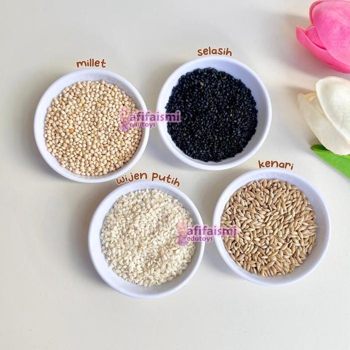 

Terlaris Bahan Kolase Biji-Bijian Millet Selasih Wijen Putih Kenari Kerajinan Prakarya By Afifaismi