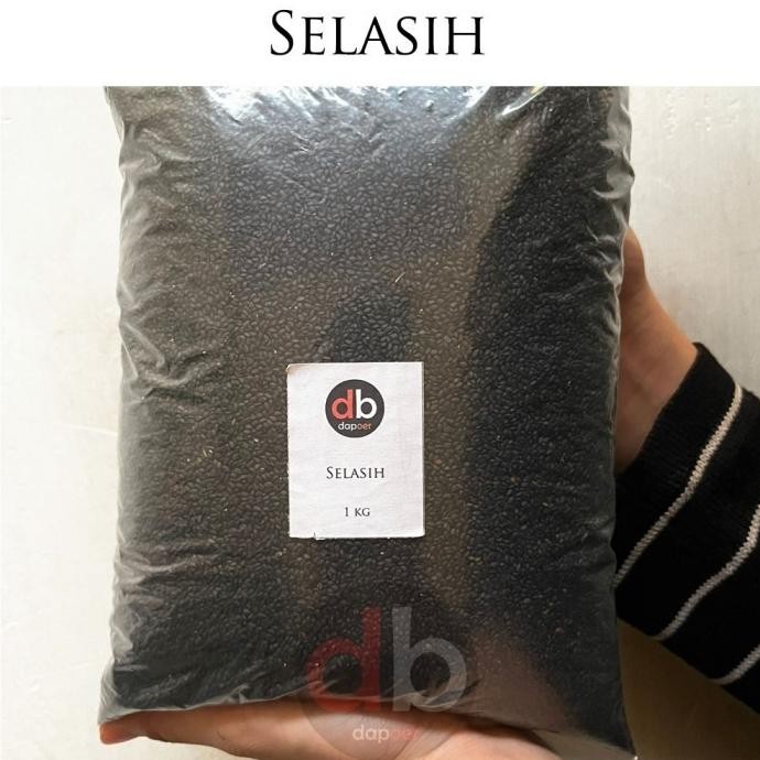 

BIJI SELASIH 1KG TERMURAH