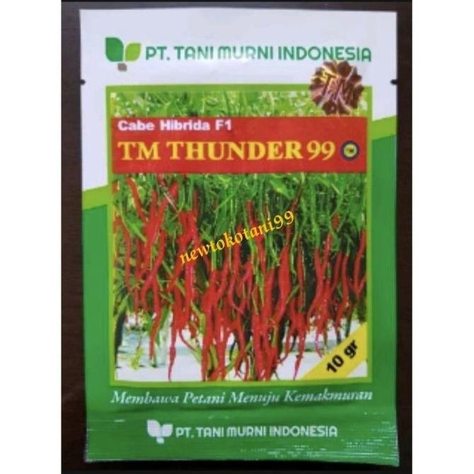 

Benih cabe keriting TM THUNDER 99 10 gram cabai hibrida tani murni
