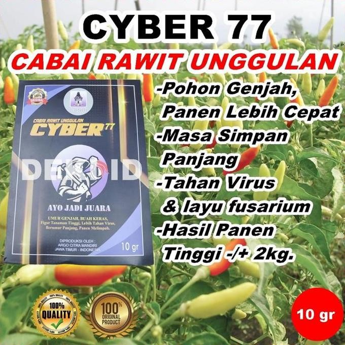 

Benih Cabe Rawit Cyber 77 Bibit Cabai Unggul 10 Gram Kemasan Pabrik