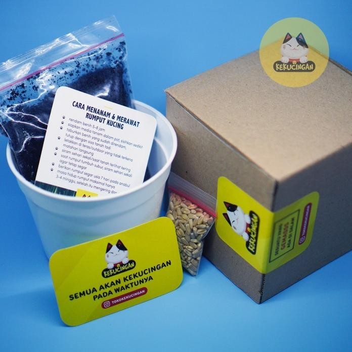 

Terlaris Diy Rumput Kucing / Rumput Gandum Paket Lengkap Pot/Media/Benih 1 Gr