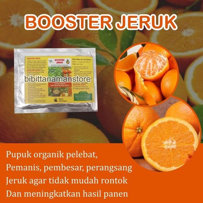 

Pupuk Oranik Penyubur Pelebat dan Booster Jeruk Cepat Berbuah Lebat