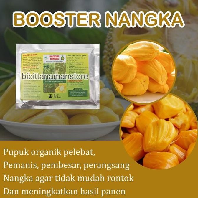 

Pupuk Organik Pelebat Buah dan Booster Nangka Cepat Berbuah Lebat