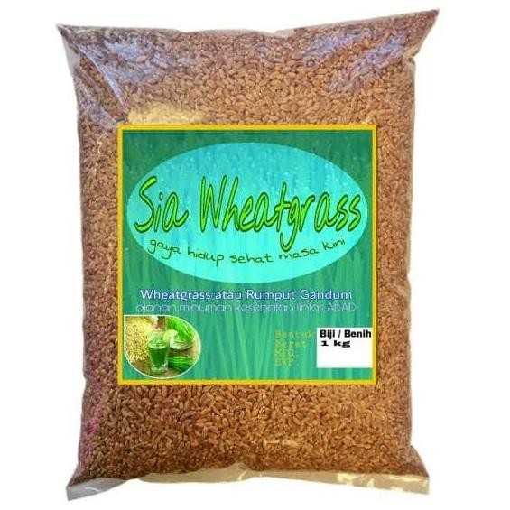 

Terlaris Wheatgrass Seed / Benih Rumput Gandum Super 1 Kg