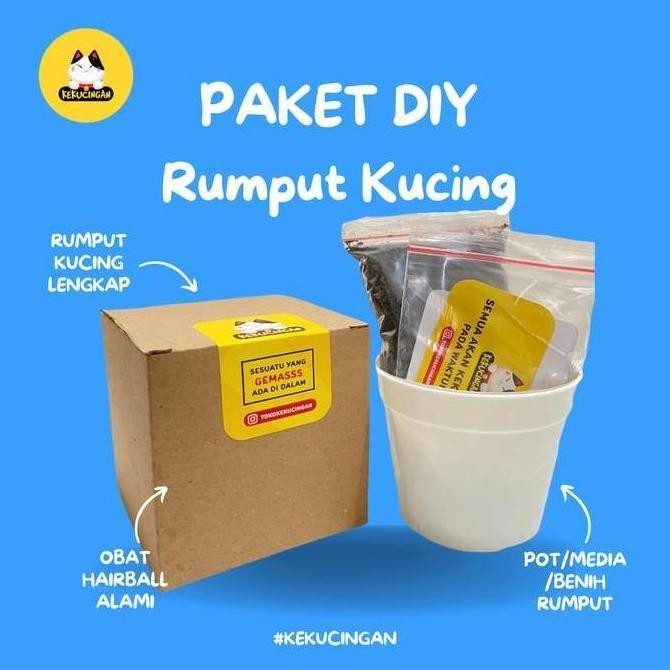 

Terlaris (Promo) Rumput Kucing Paket Tanam Benih Gandum Wheatgras Lengkap Bestseller