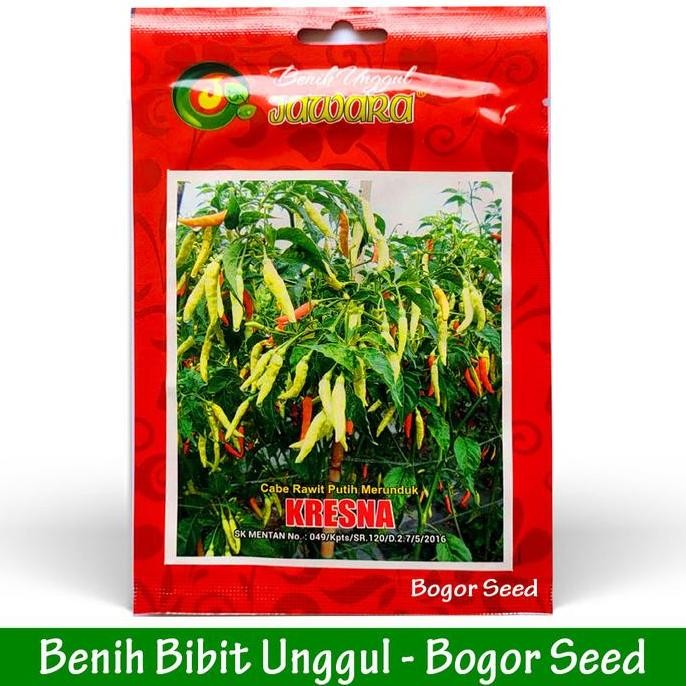 

ISI 2300 BIJI BIBIT BENIH CABE RAWIT PUTIH KRESNA 10GR TERMURAH