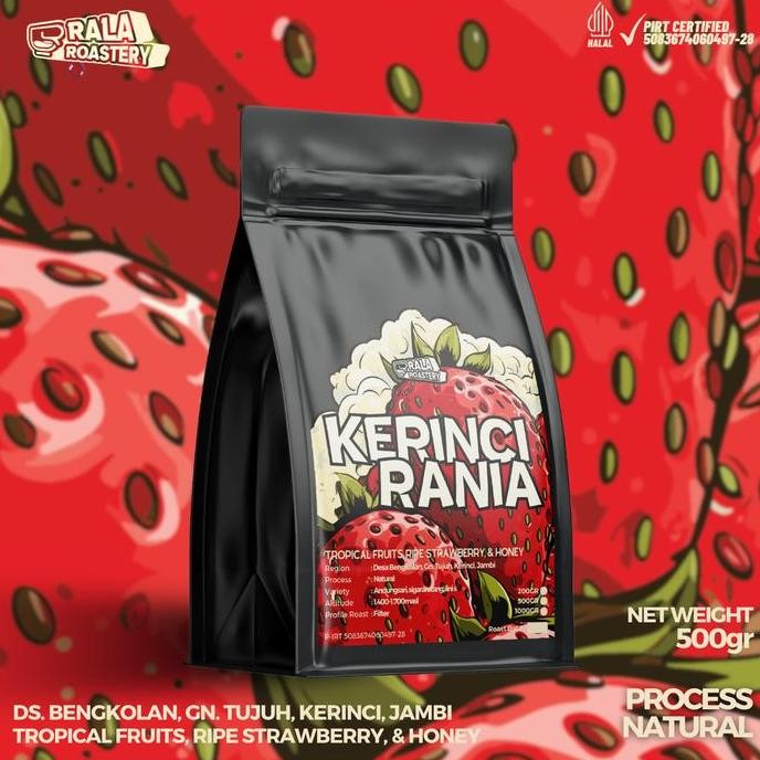 

KOPI ARABIKA KERINCI NATURAL | BIJI KOPI SINGLE ORIGIN ARABICA 500GR TERMURAH
