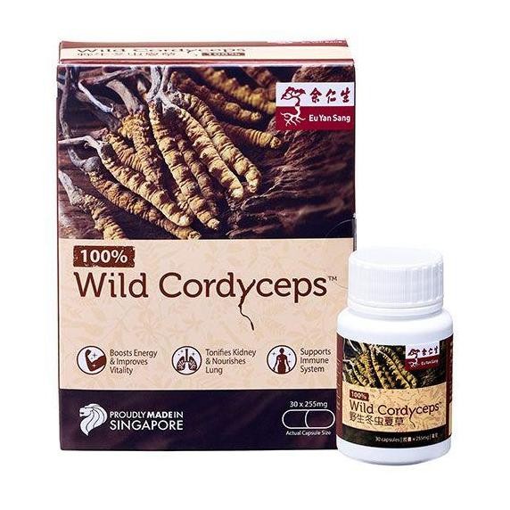 TERLARIS - Eu Yan Sang Wild Cordyceps Asli Kapsul Dong Chong Chao