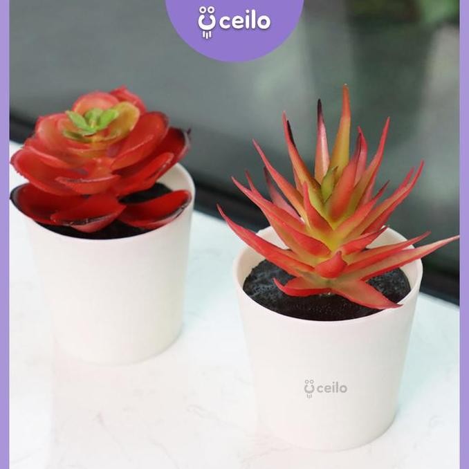 Promo CEILO Kaktus Sukulen Plastik Artificial Premium Tebal Cactus Succulent Tanaman Dekorasi Bunga 
