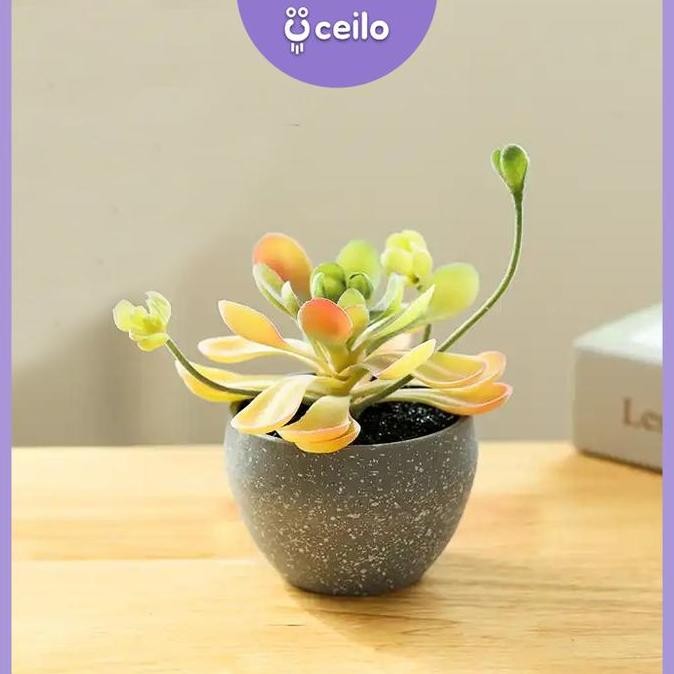 Promo CEILO Kaktus Sukulen Plastik Imitasi | Succulent Artificial | Tanaman Kaktus Palsu | Sukulen P