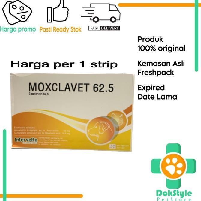 Moxclavet 62.5mg antibiotik anjing kucing mirip clavamox per 1 strip