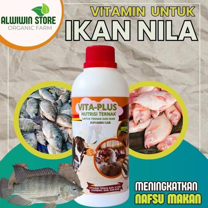 Terlaris Vitamin Penambah Nafsu Makan, Ikan Nila Merah Nila Bangkok Dan Essen Ikan Nila Vita-Plus Al
