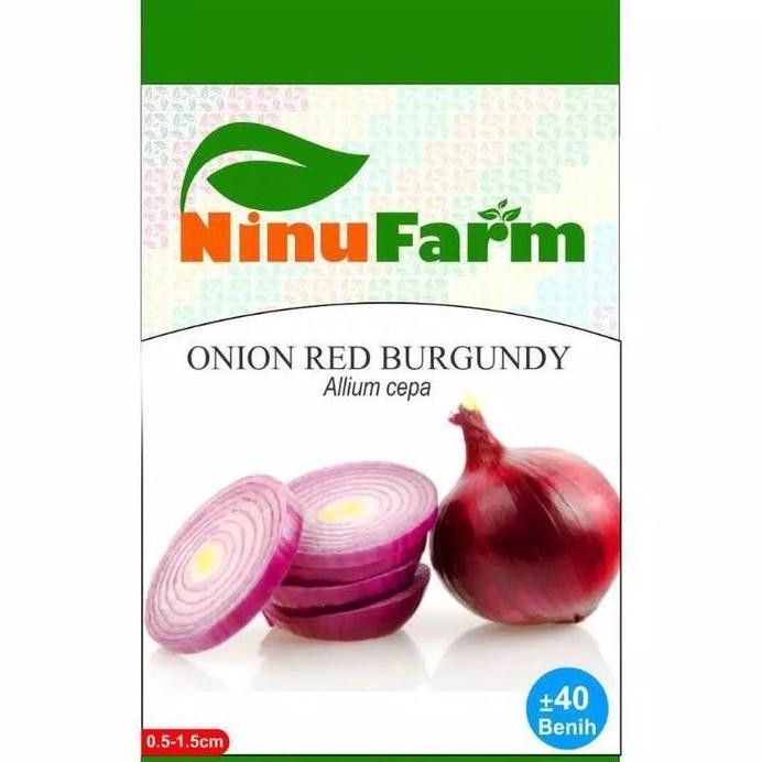 

Terlaris Benih Bawang Merah Burgundy / Bibit Bawang Merah Burgundi Bandung / Benih Bawangmerah Unik
