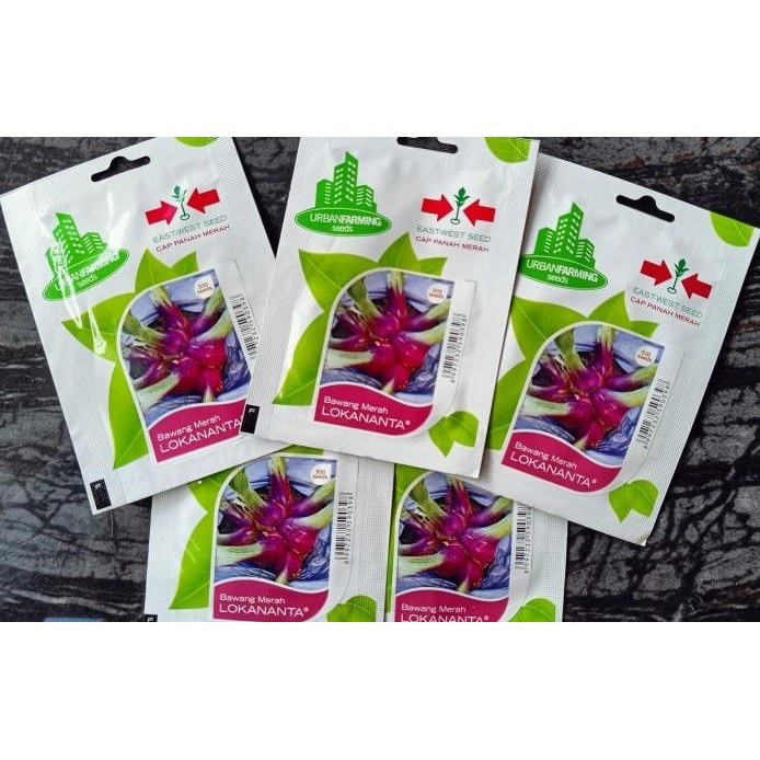 

Terlaris Ready Fresh Benih Bibit Bawang Merah Lokananta Panah Merah