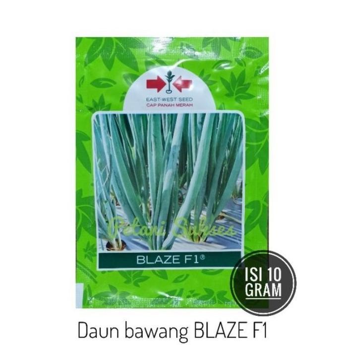 

Terlaris Ready Fresh (10 Gram) Bibit Benih Daun Bawang Blaze F1 10Gr Sayuran Hidroponik Hibrida Cap Panah Merah