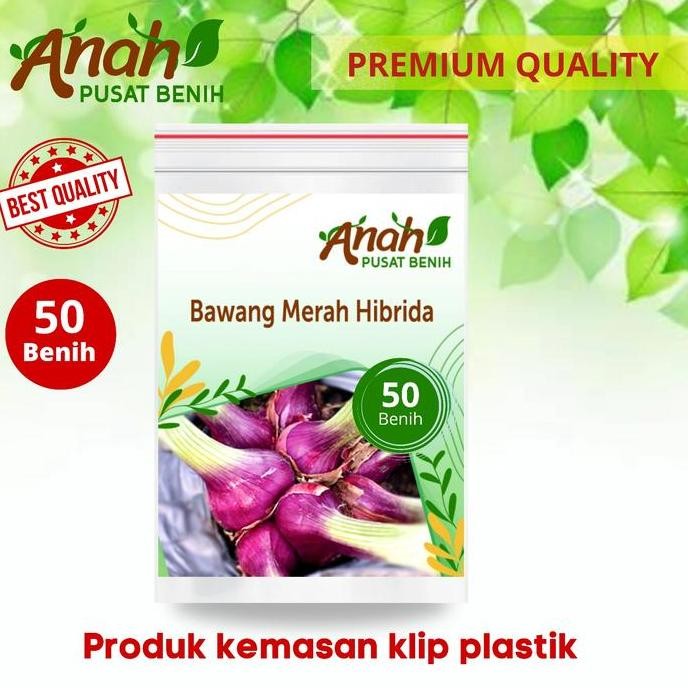 

Terlaris Benih Bawang Merah Lokananta / Bibit Sayuran Unggul