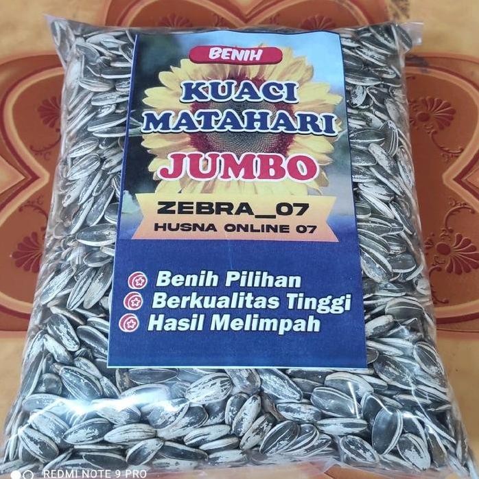 

Terlaris Murahhh !!! 1 Kg Benih Biji Bunga Matahari Jumbo Extra Tanaman Melon Bibit Jagung Sayuran Bau Benih Padi Buah Durian Anggur Rambutan Jeruk Lidah Mertua Daun Putri Rawit Putih Mangga Fresh Flower Alpukat